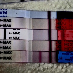 12dpo help! Faint line??