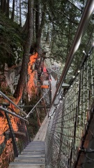 Come and tell us your dull and unexciting news 35: Calmly through the day