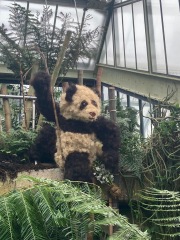 Join us in the Goose and Carrot Pub thread.