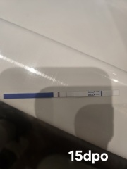 TTC#1 - Looking for Others in the Same Boat PART TWO THE SEQUEL WHERE WE ALL GET OUR BABIES???!