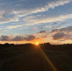 Thread 25 : To feel disappointed - and disgusted and vindicated now too - after reading this in The Observer about the author and her husband from The Salt Path book and film?