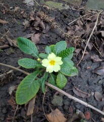 Year round Nigel Slater discussion thread - Part 3