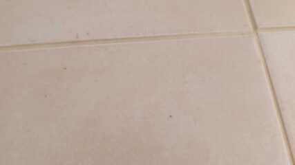 Black mould in hotel room. Pic attached.