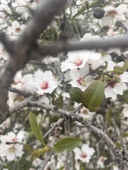 Come and tell us your dull and unexciting news 35: Calmly through the day