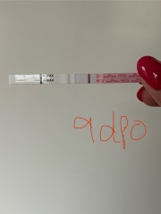 Easy@Home indents or evaps?