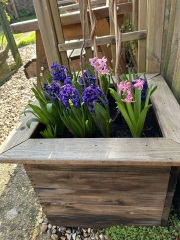 What are you looking forward to in the garden in 2026?