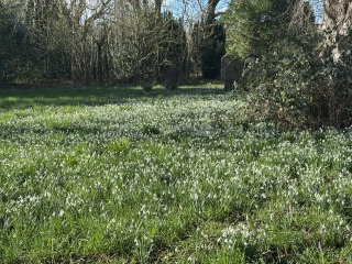Year round Nigel Slater discussion thread - Part 3