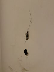 Leak from bathroom ceiling collapsed