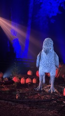 Daily Project Round 9