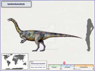 Please identify this dinosaur