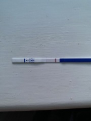 TWW feels like forever