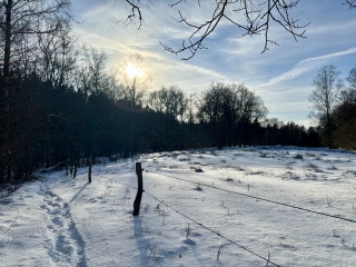 Shopping my wardrobe in 2026