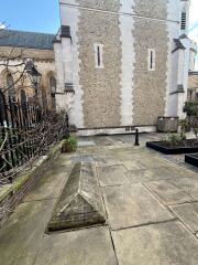 My year with Stella...