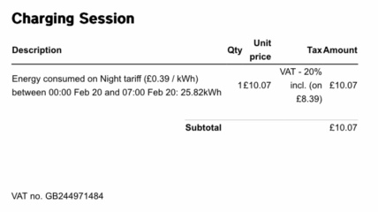 Electric cars are NOT the future, are they?