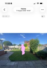 Advice for planning borders/my garden (with pics)