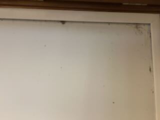 How to remove mould from blinds?