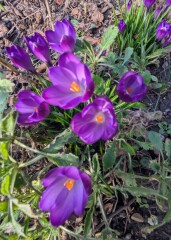 Year round Nigel Slater discussion thread - Part 3