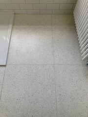 Wetroom or shower tray?