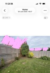Advice for planning borders/my garden (with pics)