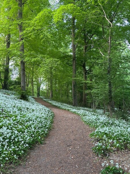 Year round Nigel Slater discussion thread - Part 3