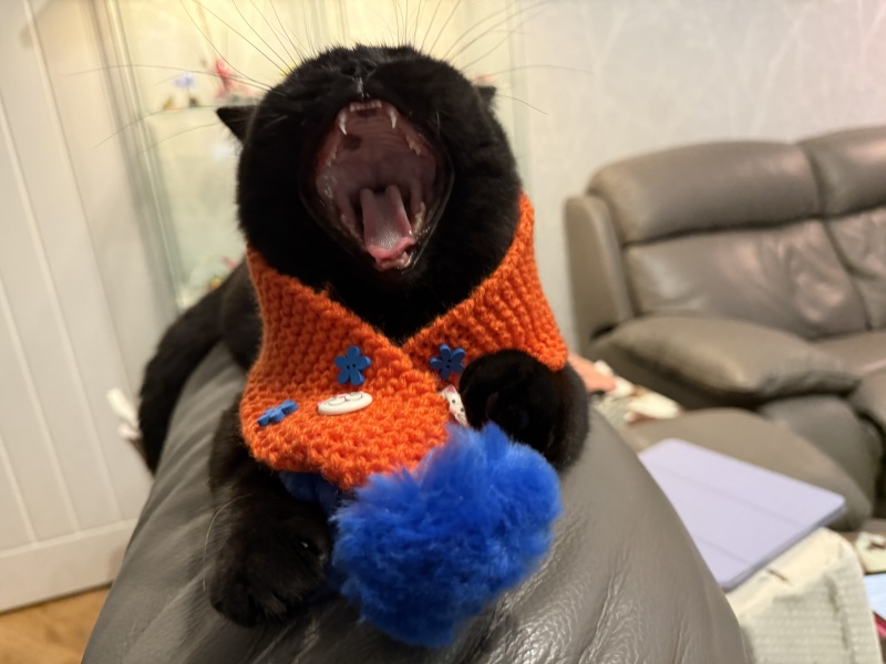 Hello from Charlie