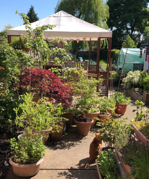 Removing flags to gain a 'proper' garden--I posted in chat and have been directed here (thank you)!