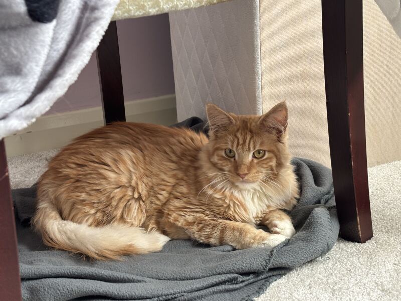 Name help for our new boy!