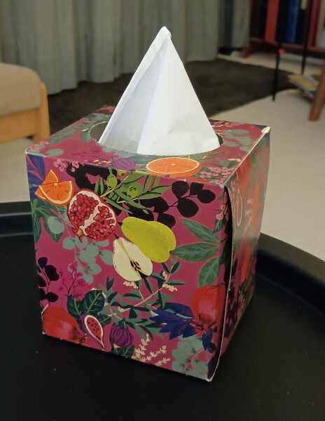 Do you have a nice tissue box cover?