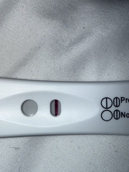 Multiple faint pregnancy test lines over several days, evap or positive?