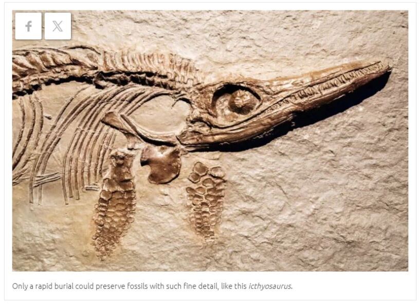 Does Christian apologetics encourage people to be dishonest ?