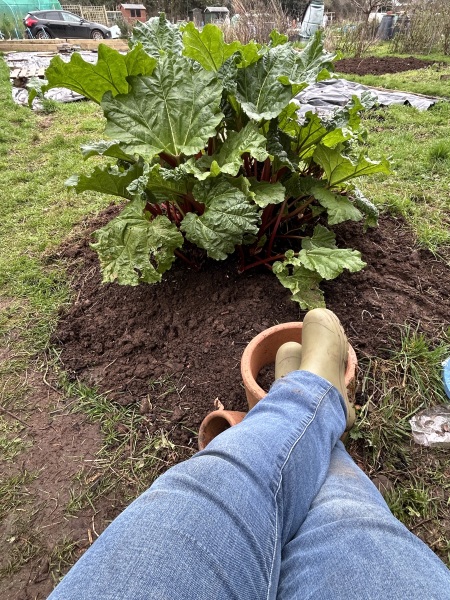 What have you done in the garden today? Part 8