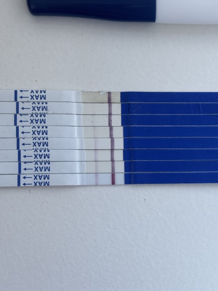 Low hcg? Slow line progression success stories!
