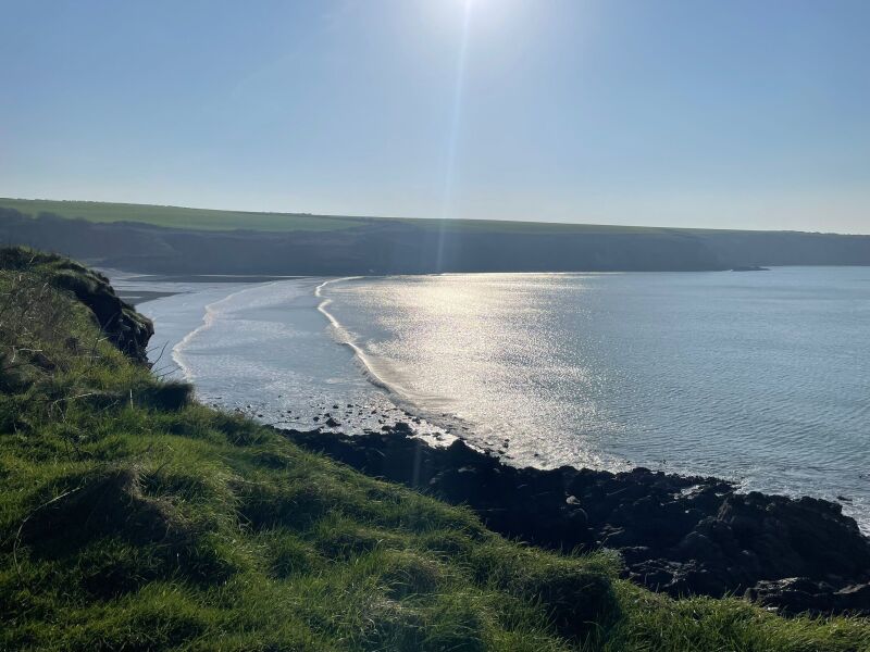 Retroperitoneal Leiomyosarcoma part 2