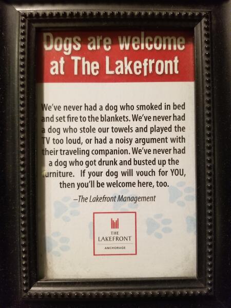 Dogs in hotels
