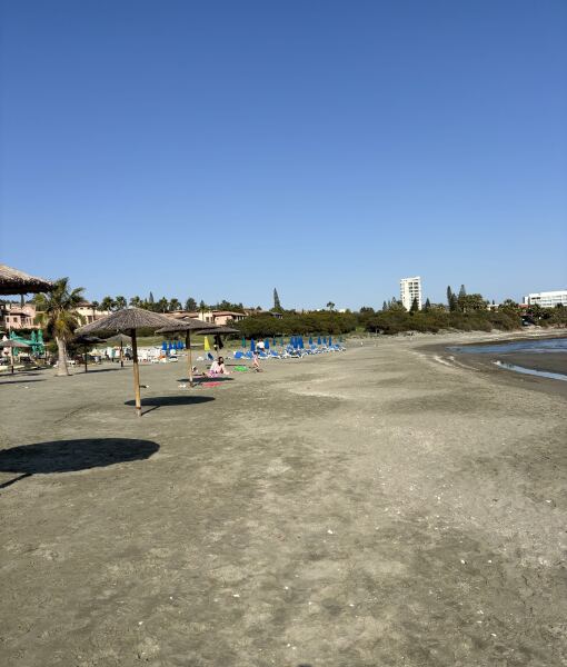 Beware the Ides of March - Trump Thread #156