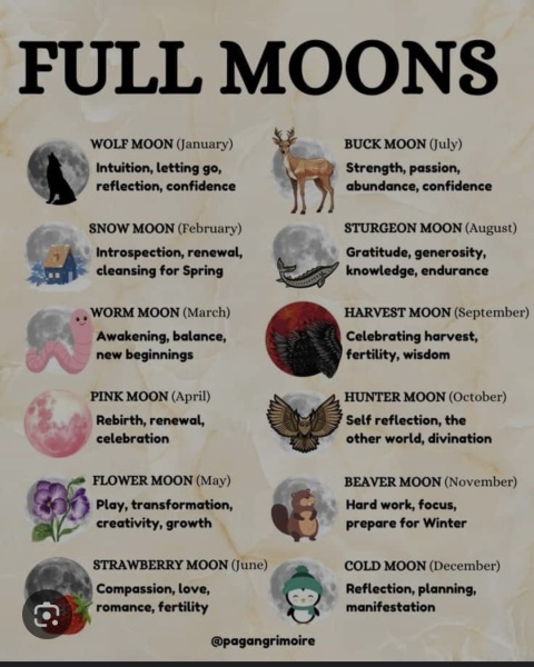 Year round Nigel Slater discussion thread - Part 3