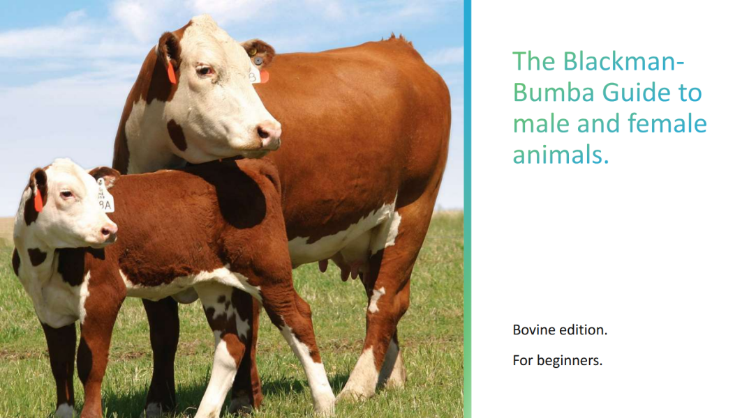 Joanne cherry writes explosive tell all on the SNP