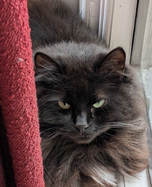 Tired of carrying my evening outfit in a bag under my desk!