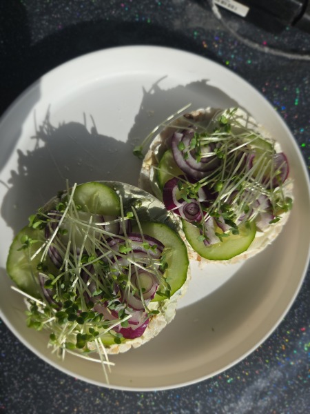 What did you have for dinner tonight?