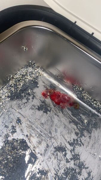 Is this blood?