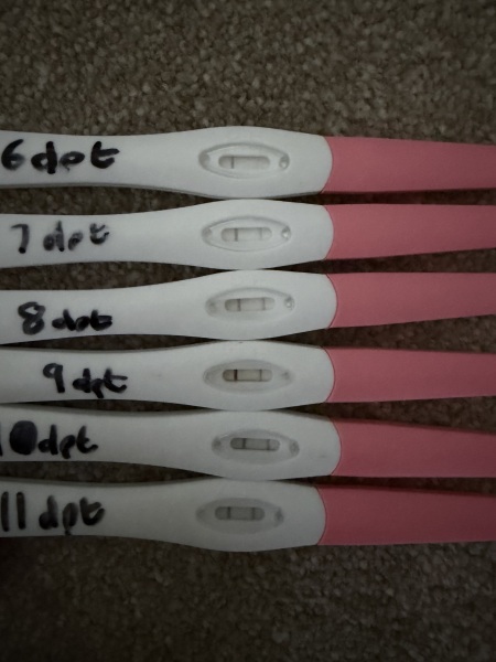 TW: 8dp5dt