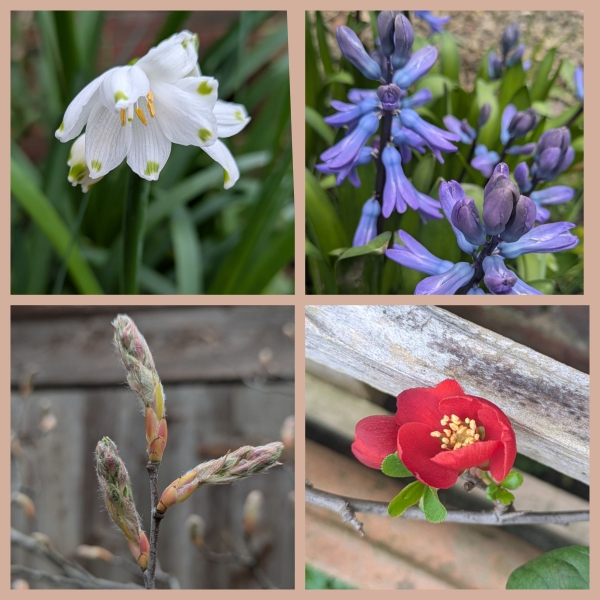 Year round Nigel Slater discussion thread - Part 3