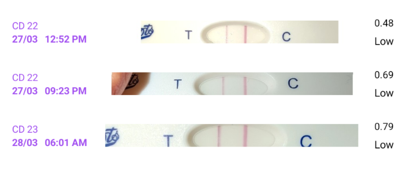 TWW feels like forever