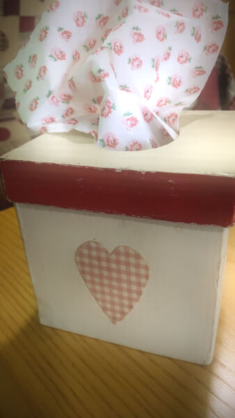 Do you have a nice tissue box cover?