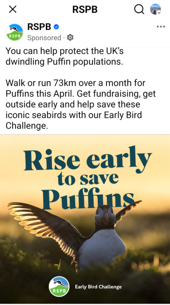 The Bluestocking - Best Pub on the Internet