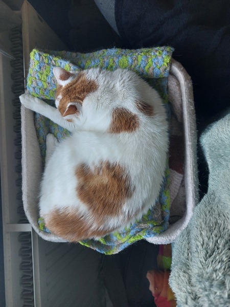 Thread 45 Starmer: Una nación que olvida su pasado no tiene futuro.