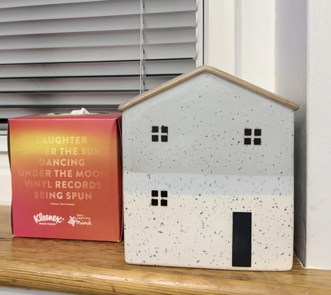 Do you have a nice tissue box cover?