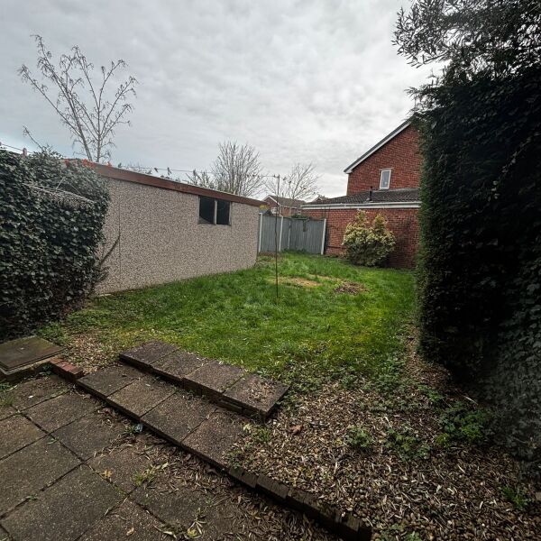 What could I plant to soften new fencing and bare borders?