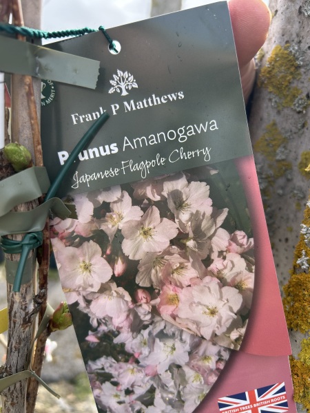 What have you done in the garden today? Part 8