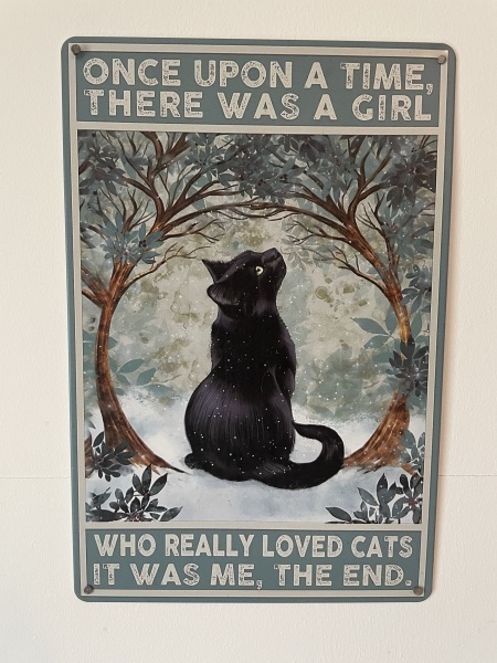 Thread 46 Starmer: Meloj kaj kastoroj sur monbiletoj, arbaro de kolero